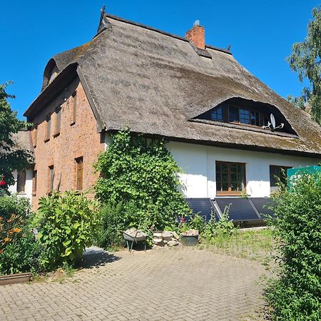 Renovated Apartment In The Old Farmhouse Krusenhagen Экстерьер фото